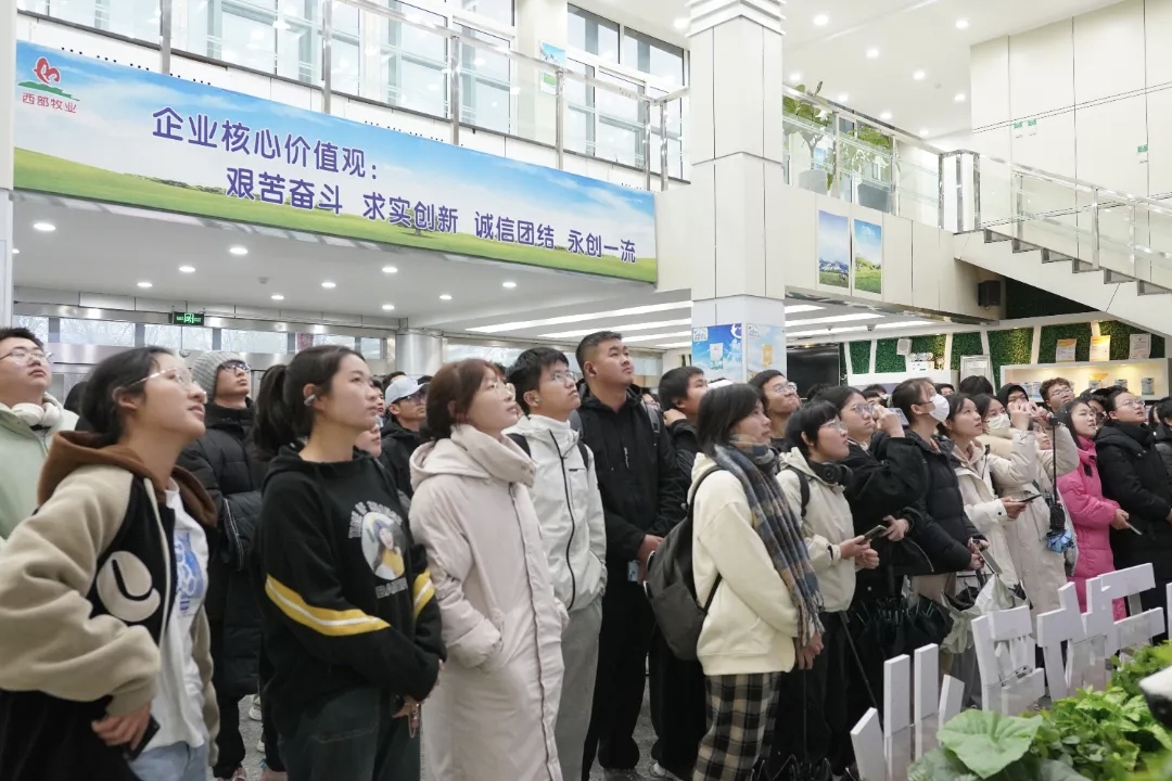 石河子大學(xué)食品學(xué)院師生走進(jìn)天山云牧開展認(rèn)知實習(xí)活動